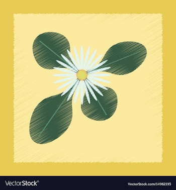 Flat shading style plant bellis vector image