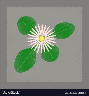 Flat shading style plant bellis vector image