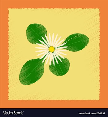 Flat shading style plant bellis vector image