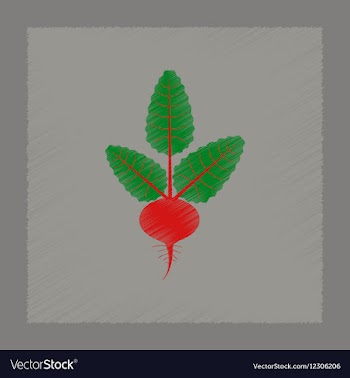 Flat shading style plant beta vector image