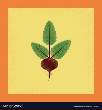 Flat shading style plant beta vector image
