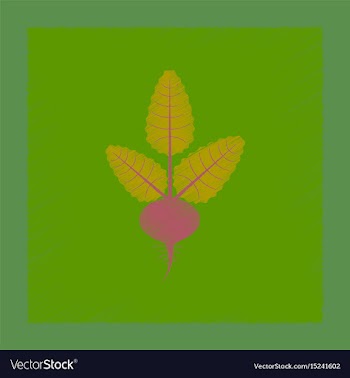 Flat shading style plant beta vector image
