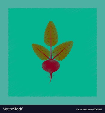 Flat shading style plant beta vector image