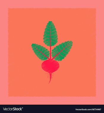 Flat shading style plant beta vector image