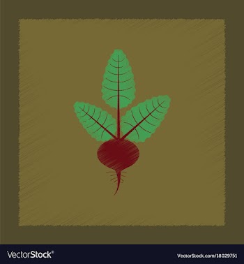 Flat shading style plant beta vector image