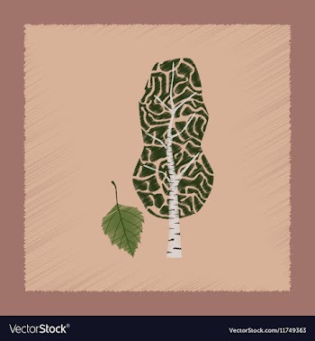Flat shading style plant Betula vector image
