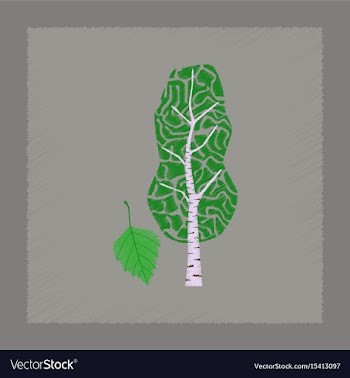 Flat shading style plant betula vector image