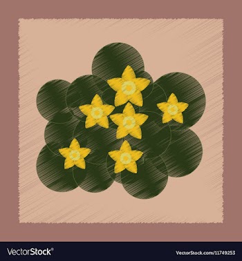 Flat shading style plant Caltha vector image