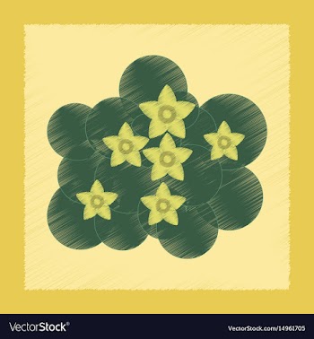 Flat shading style plant caltha vector image