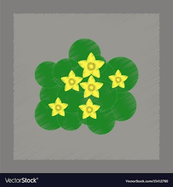 Flat shading style plant caltha vector image
