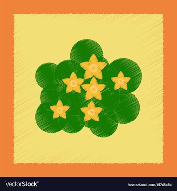 Flat shading style plant caltha vector image