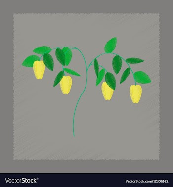 Flat shading style plant capsicum vector image