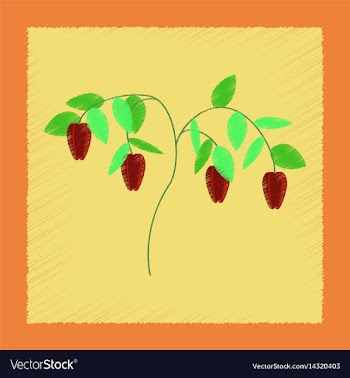 Flat shading style plant capsicum vector image