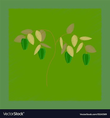 Flat shading style plant capsicum vector image