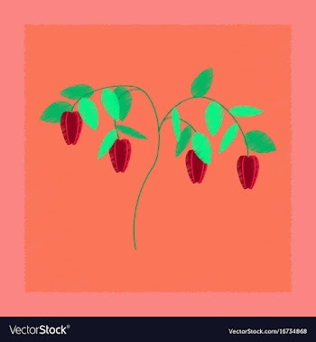 Flat shading style plant capsicum vector image