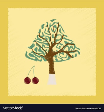 Flat shading style plant cerasus vector image