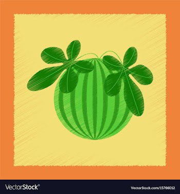 Flat shading style plant citrullus vector image