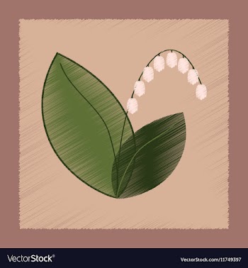 Flat shading style plant Convallaria vector image