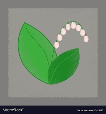 Flat shading style plant convallaria vector image
