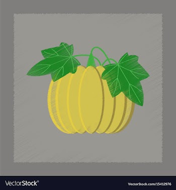 Flat shading style plant cucurbita vector image