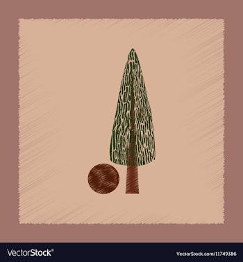 Flat shading style plant Cupressus vector image