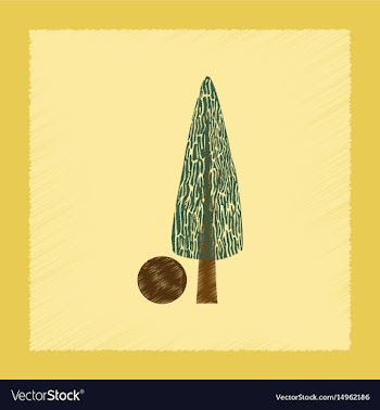 Flat shading style plant cupressus vector image