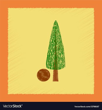 Flat shading style plant cupressus vector image