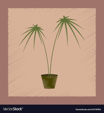 Flat shading style plant Cyperus vector image