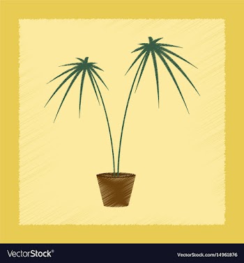 Flat shading style plant cyperus vector image