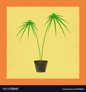 Flat shading style plant cyperus vector image