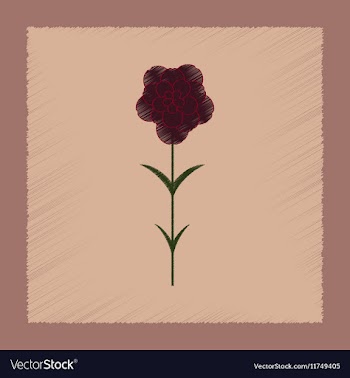 Flat shading style plant Dianthus vector image