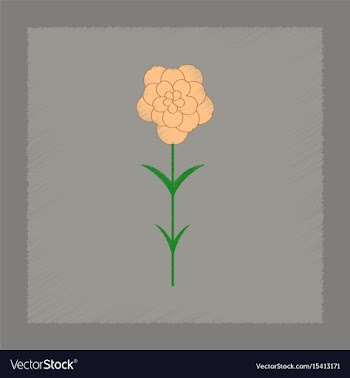 Flat shading style plant dianthus vector image