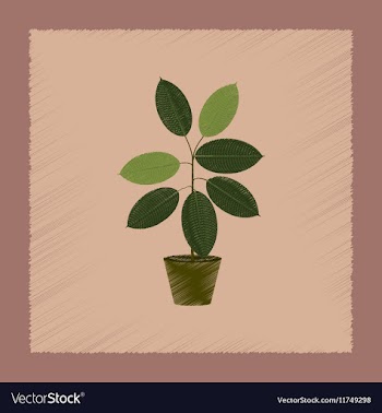 Flat shading style plant Ficus vector image