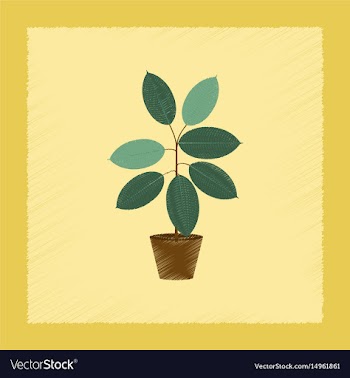Flat shading style plant ficus vector image