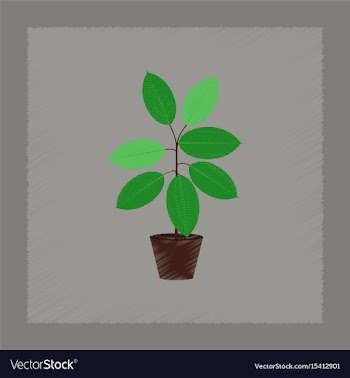 Flat shading style plant ficus vector image