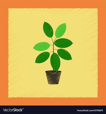 Flat shading style plant ficus vector image