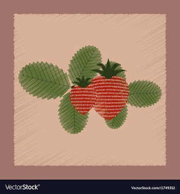 Flat shading style plant Fragaria vector image