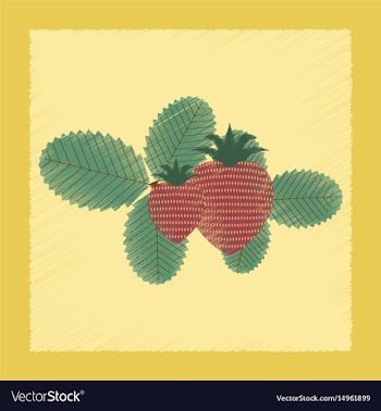 Flat shading style plant fragaria vector image