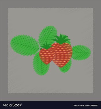 Flat shading style plant fragaria vector image