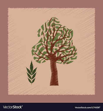 Flat shading style plant Fraxinus vector image