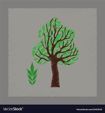 Flat shading style plant fraxinus vector image