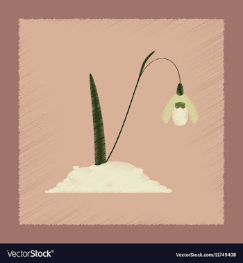 Flat shading style plant Galanthus vector image