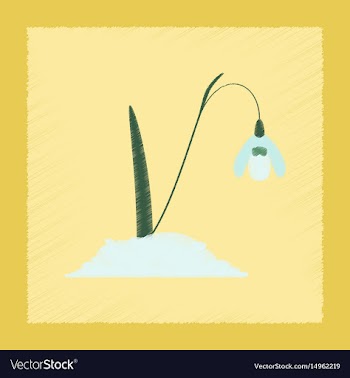 Flat shading style plant galanthus vector image