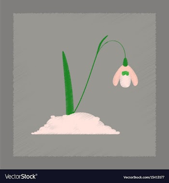 Flat shading style plant galanthus vector image