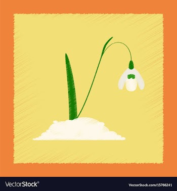 Flat shading style plant galanthus vector image