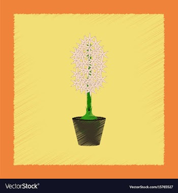 Flat shading style plant hyacinthus vector image