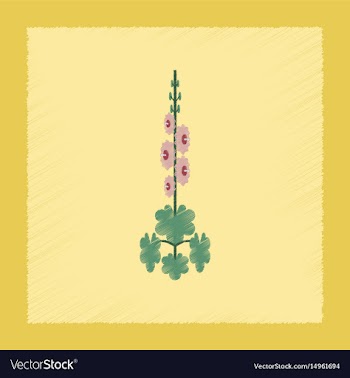 Flat shading style plant malva vector image