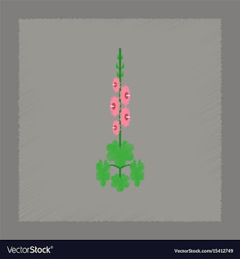 Flat shading style plant malva vector image