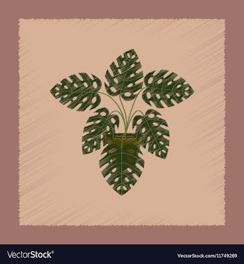 Flat shading style plant Monstera vector image