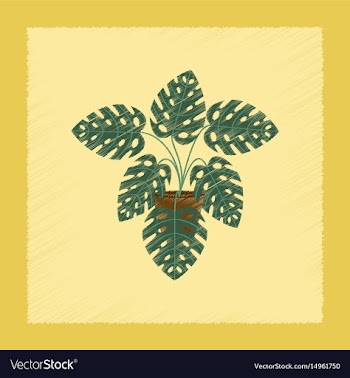 Flat shading style plant monstera vector image